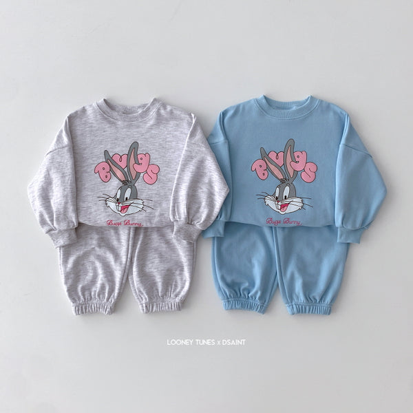 Bugs Set
