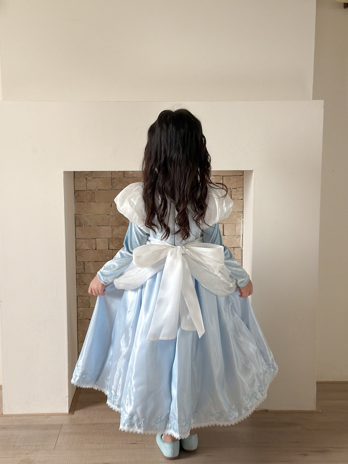 Cinderella Dress