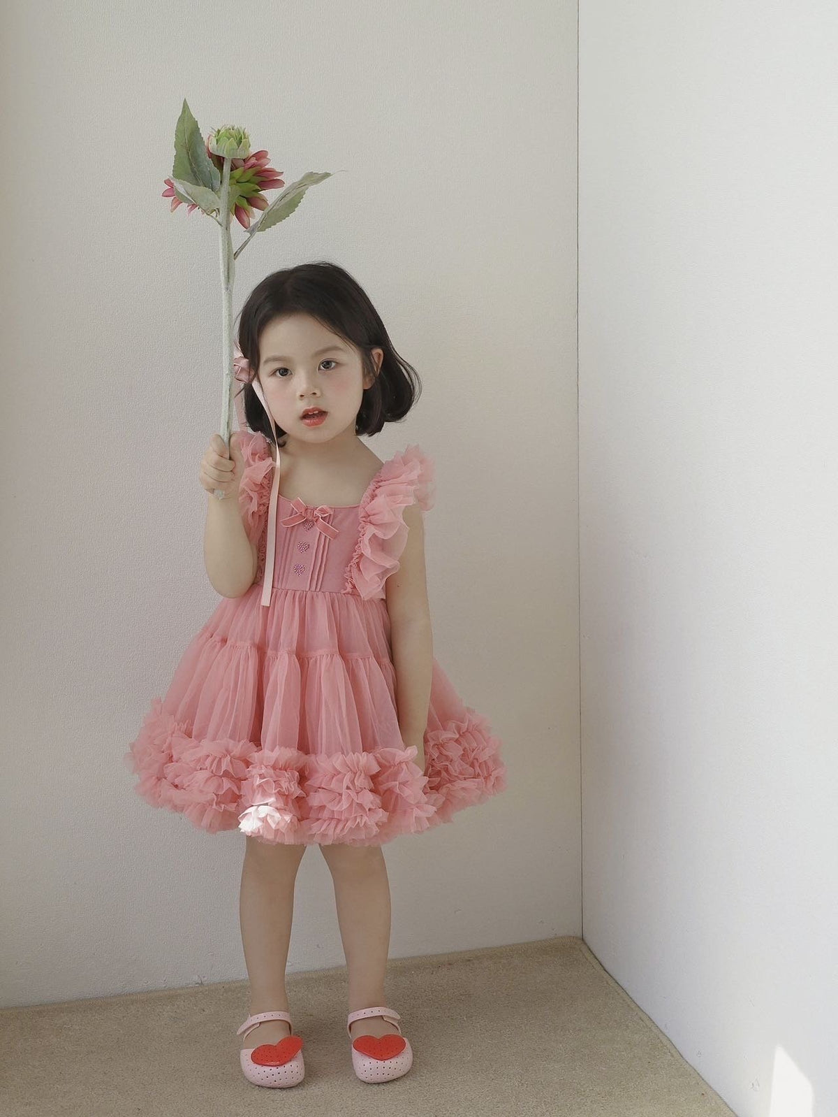 Fairy Rose Dress