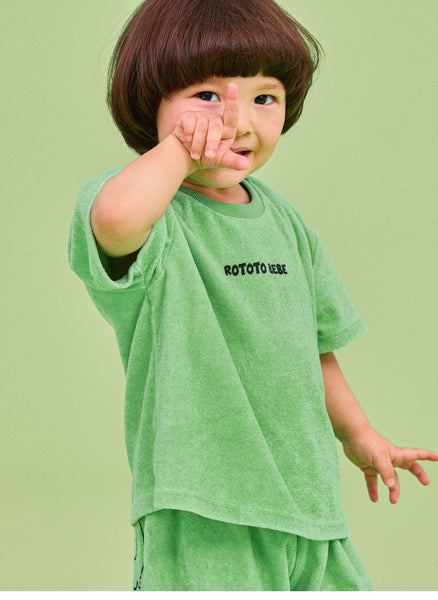 테리셋업